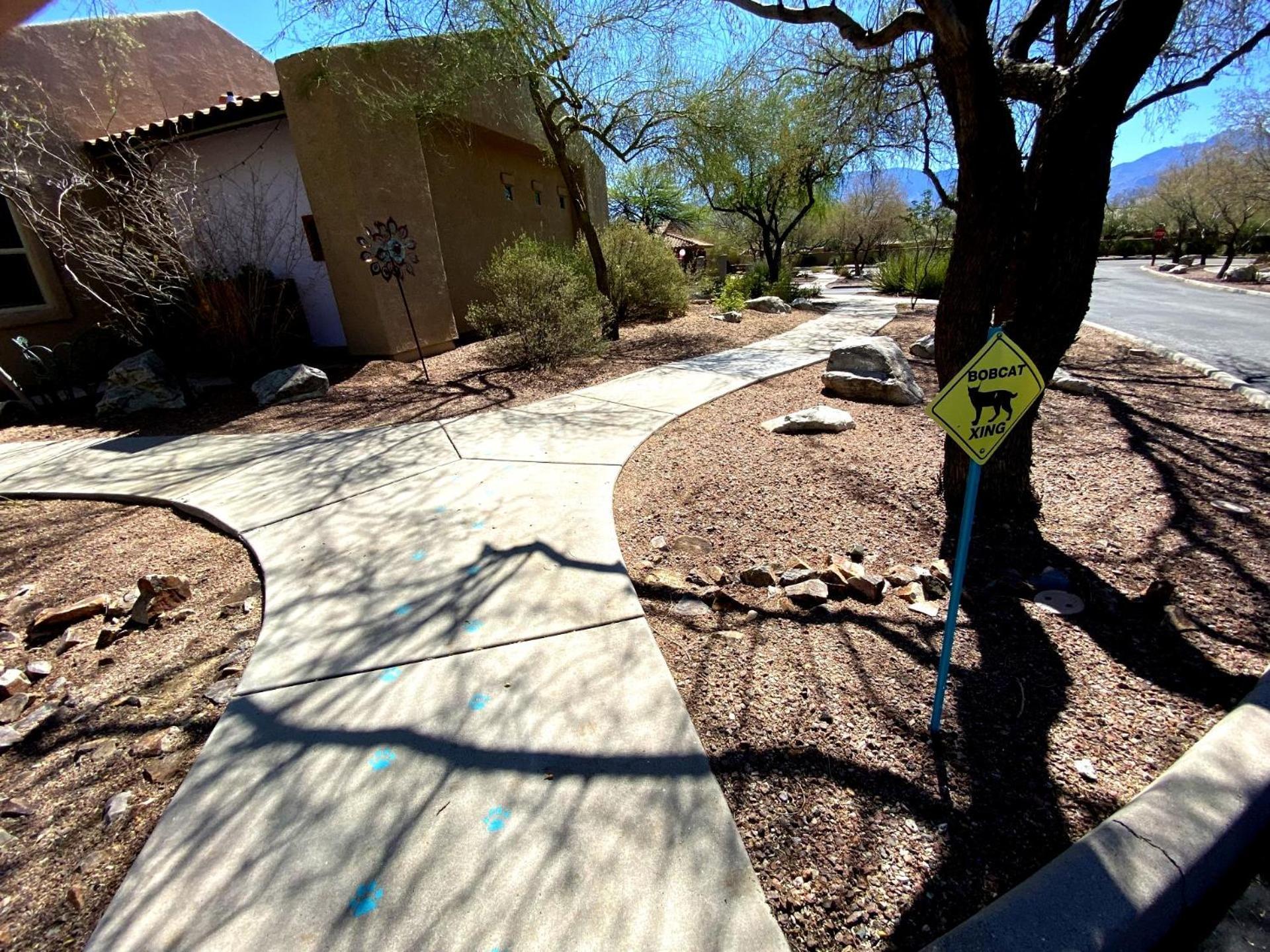 Worldmark Rancho Vistoso Oro Valley Exterior foto
